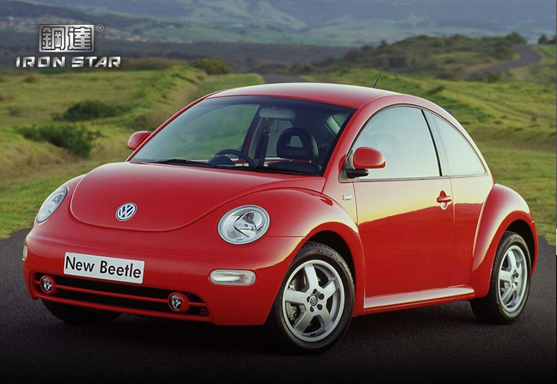 I21137 甲壳虫(图1)