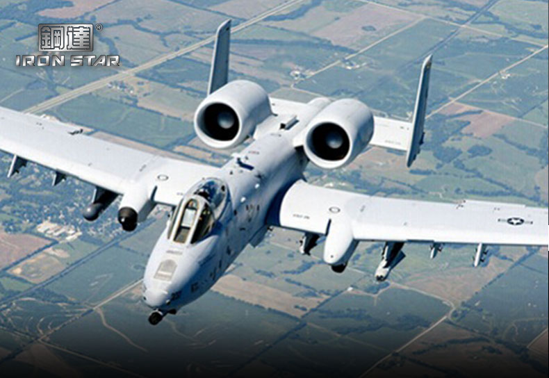 D21122 A-10攻击机(图1)